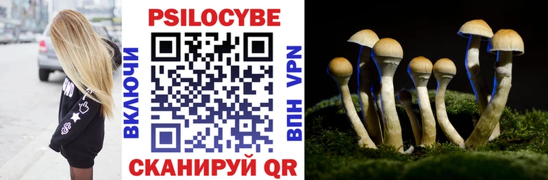 продажа наркотиков  Лукоянов  Псилоцибиновые грибы Psilocybe 